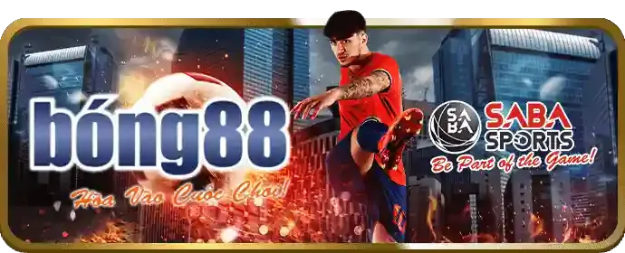 Bảo mật và uy tín